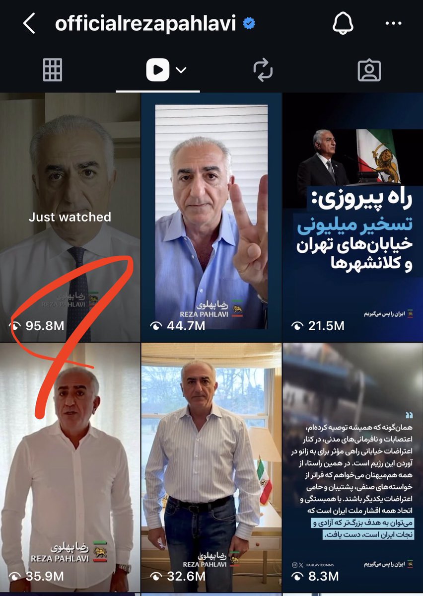 میمون مست tweet media