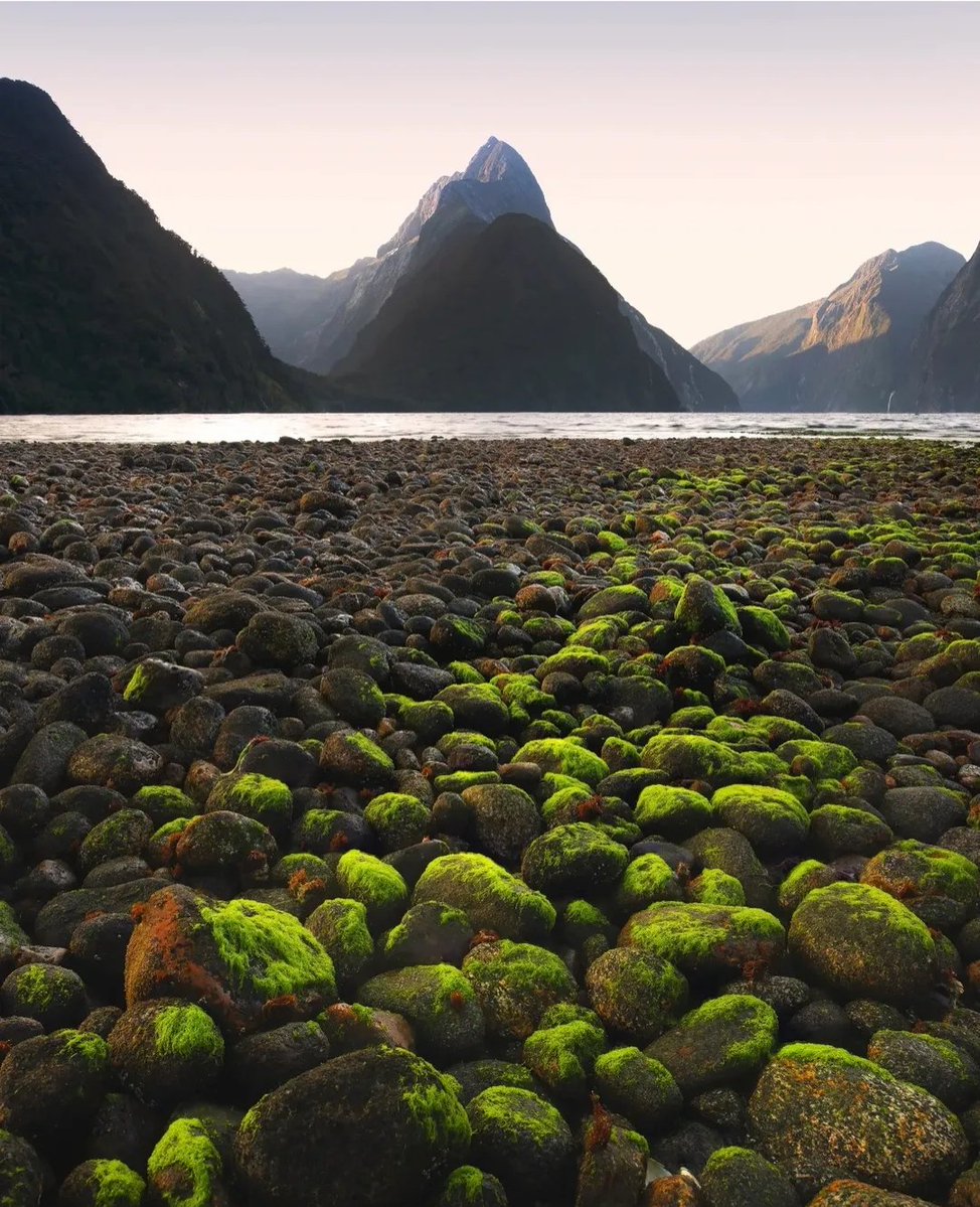 CuriousMindX63 tweet media