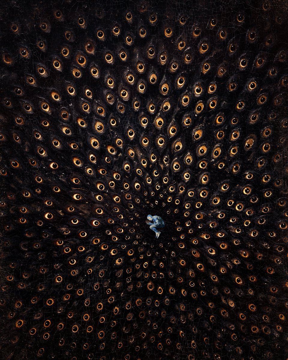 Doug Dimmadome tweet media