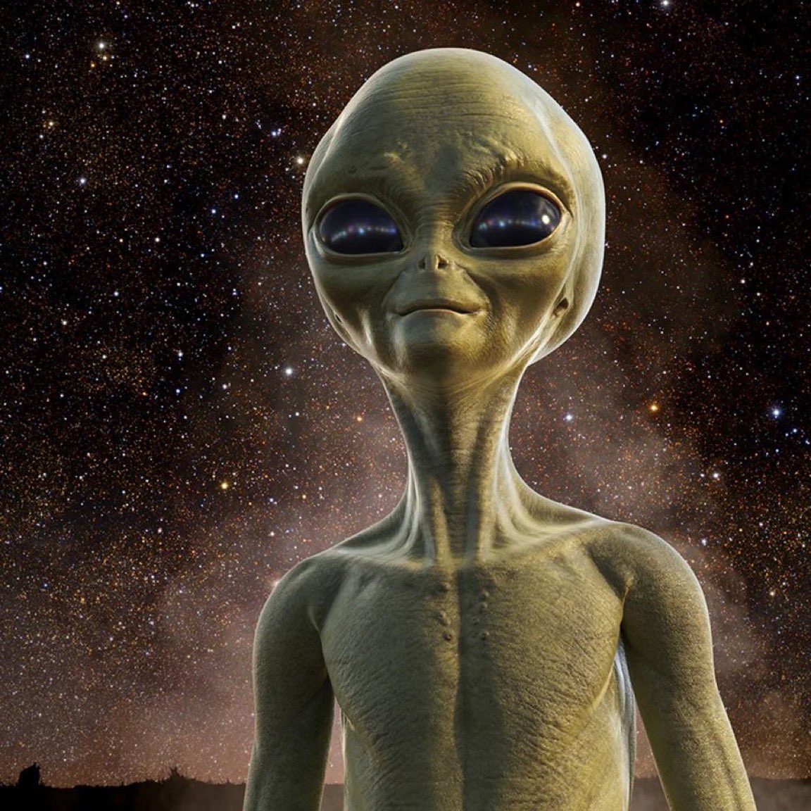 🇲🇽 𝕯𝖔𝖓 𝕮𝖍𝖎𝖈𝖔𝖒𝖔𝖓̃𝖔́ 🇲🇽 tweet media