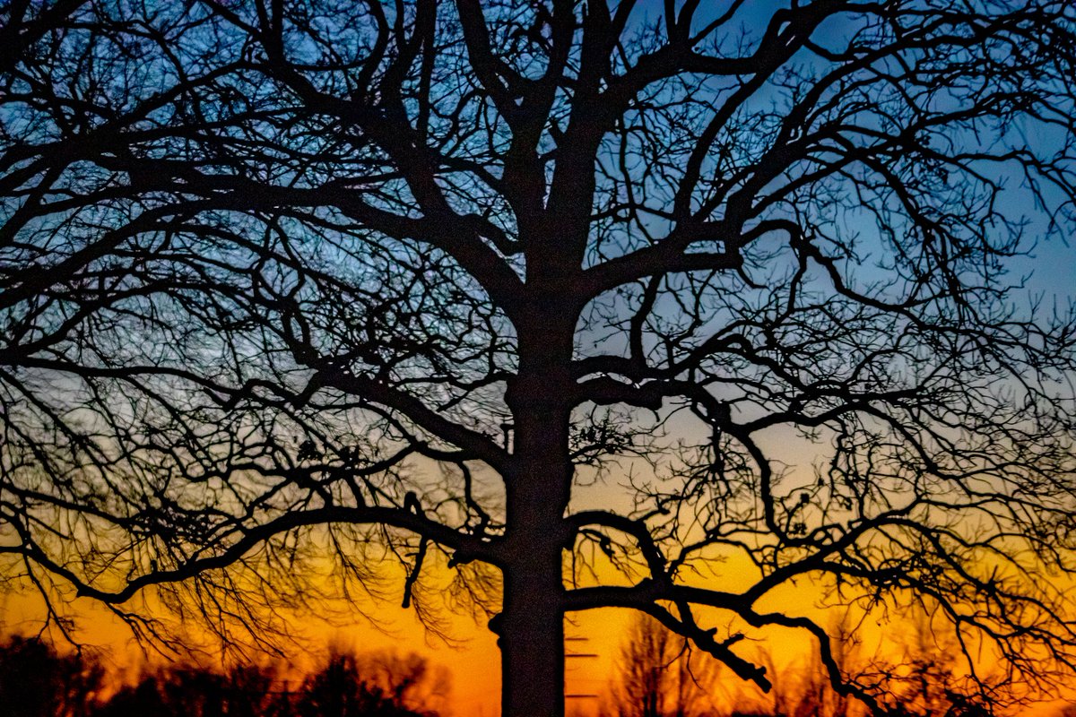 The Happy Rising Guy tweet media