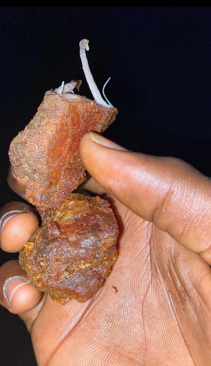 Mercy Tech tweet media