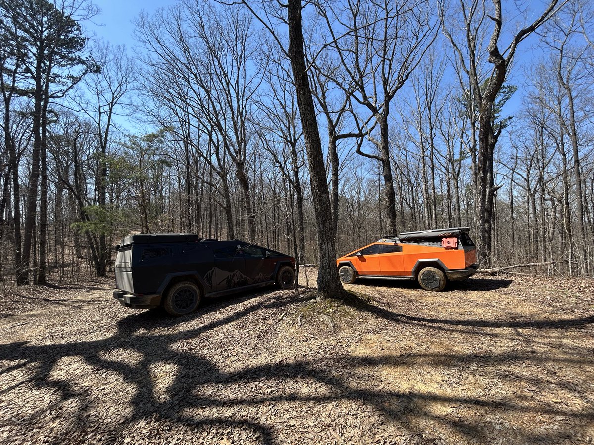 Nancy_I_O_S 🪐 tweet media