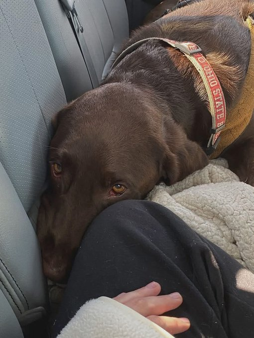 Kayakestable tweet media