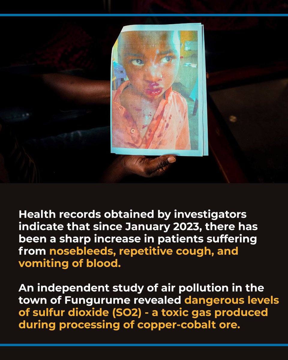 Environmental Investigation Agency U.S. tweet media