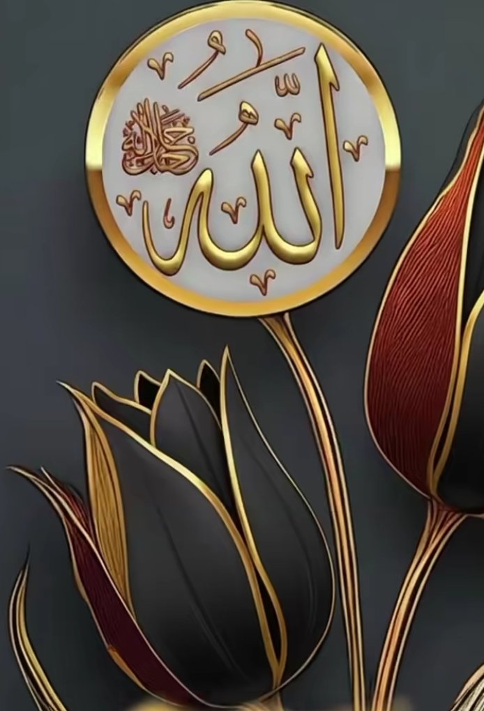 Tamer AKSOY tweet media