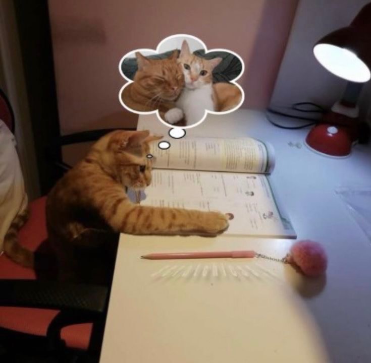 💖 BeahRom 💖 tweet media