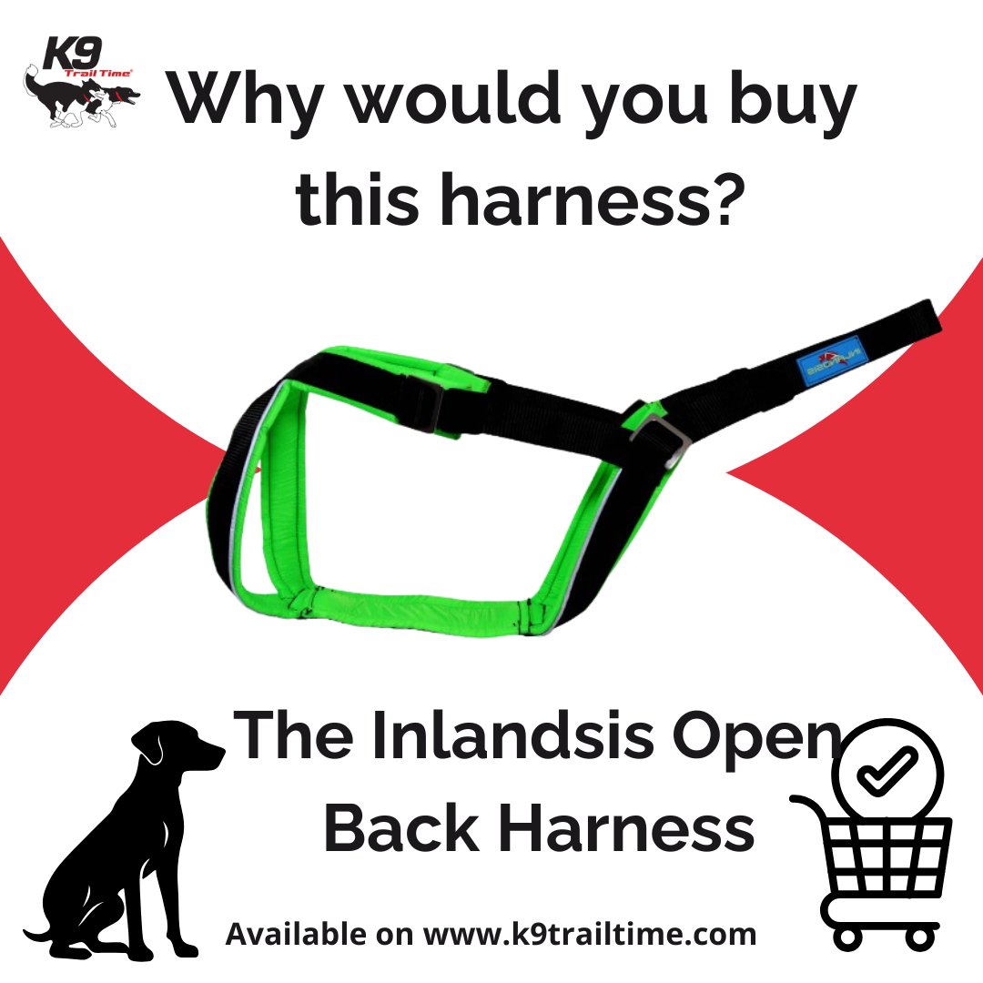 K9 Trail Time tweet media