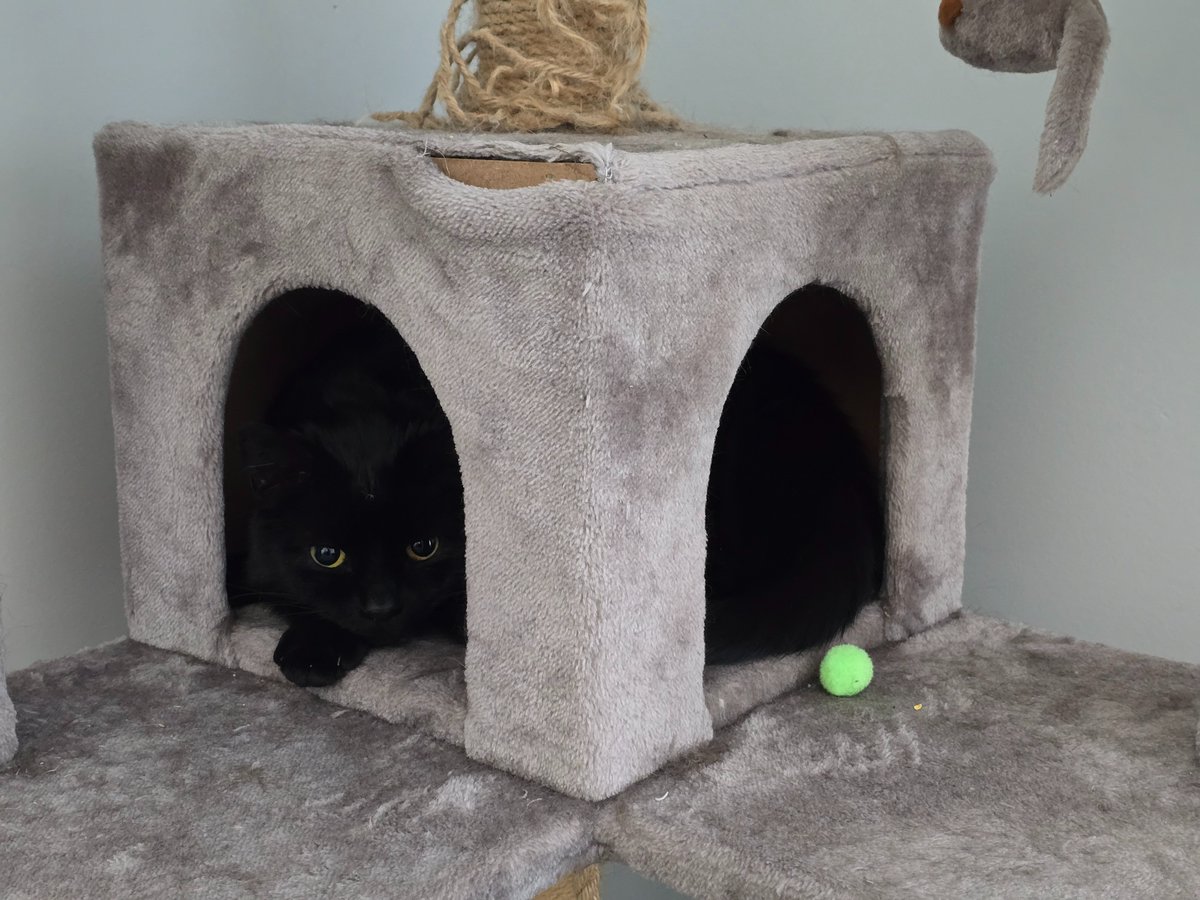 vasectomy corporation tweet media