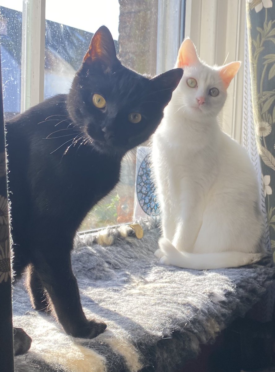 JP Relph - TWO NEW COLLECTIONS OUT NOW tweet media