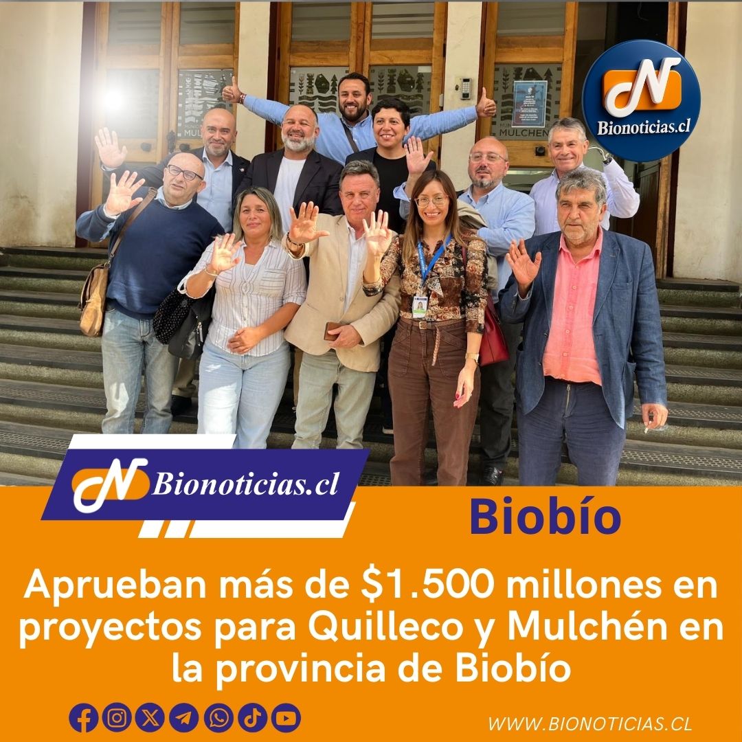 FERNANDO CHANDIA tweet media