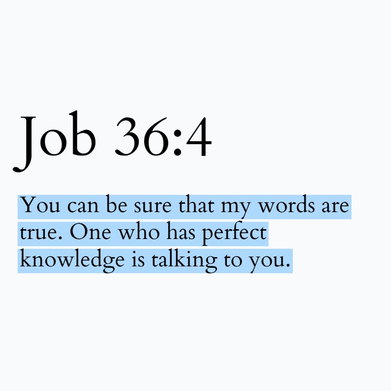 Holy Bible tweet media