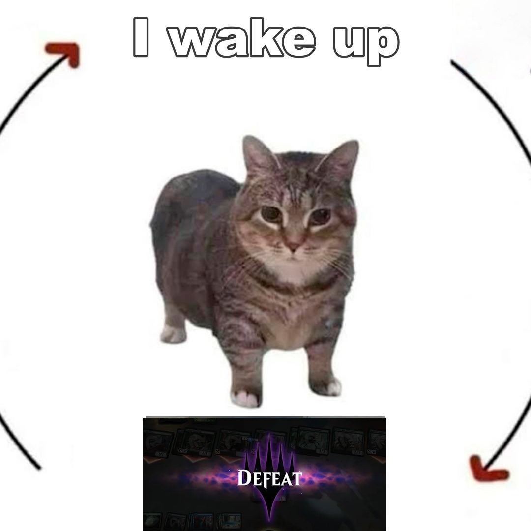 Nariko Sai ⚡🐔 tweet media