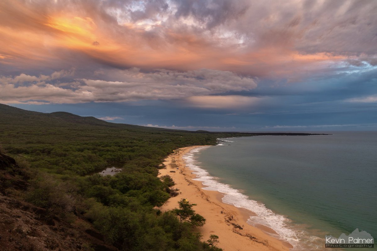 Kevin Palmer tweet media