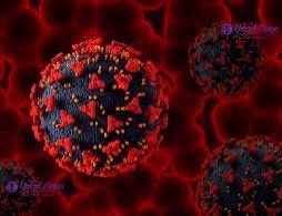 Indian_youth tweet media