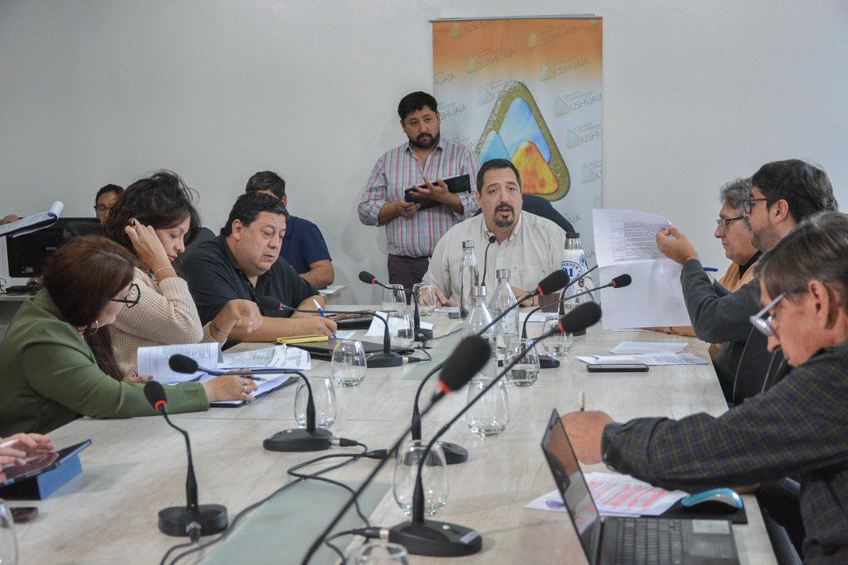 Laura Avila tweet media