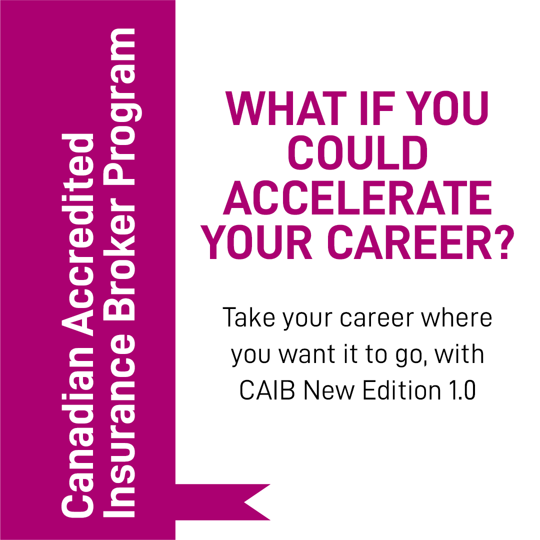 IBACanada tweet media