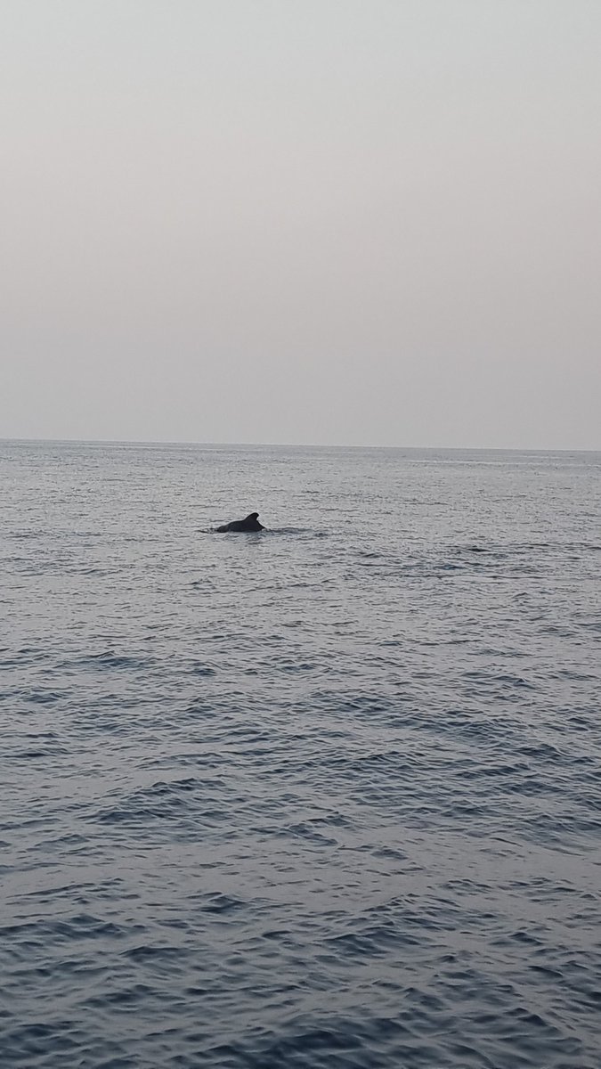 Shaun winner tweet media