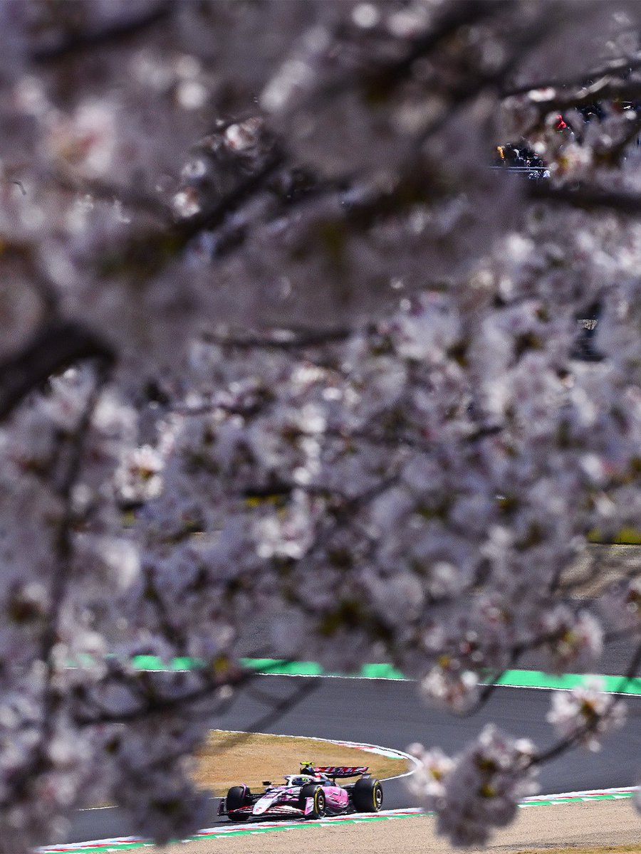 TGR Haas F1 Team tweet media