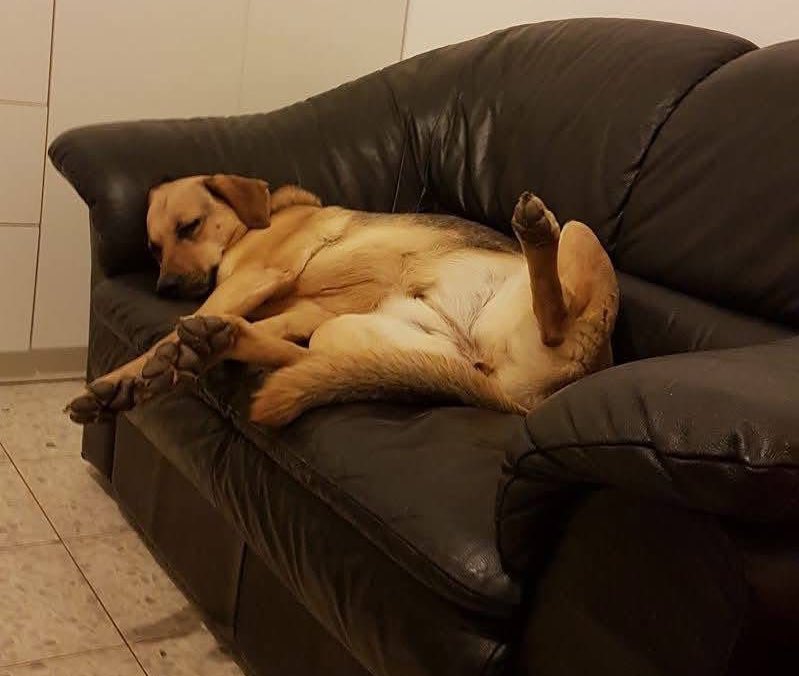 ShAuLi ✊🏼🔥🏳️‍🌈 tweet media