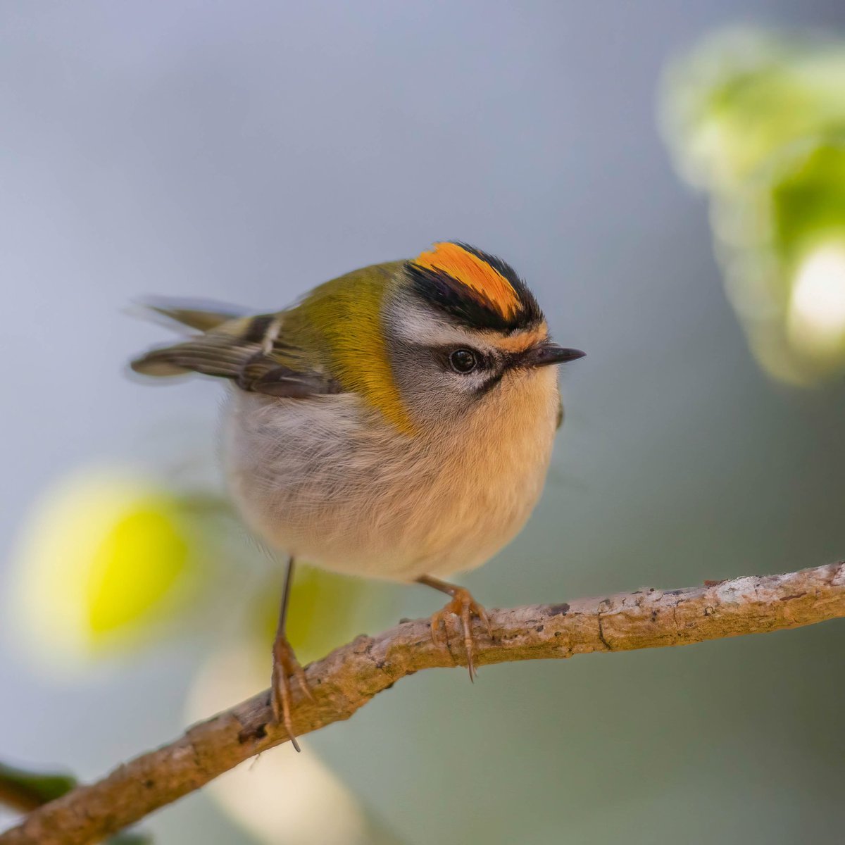 𝖢𝗅𝗈𝗌𝖾𝟤𝖱𝗂𝗏𝖾𝗋𝗌 tweet media