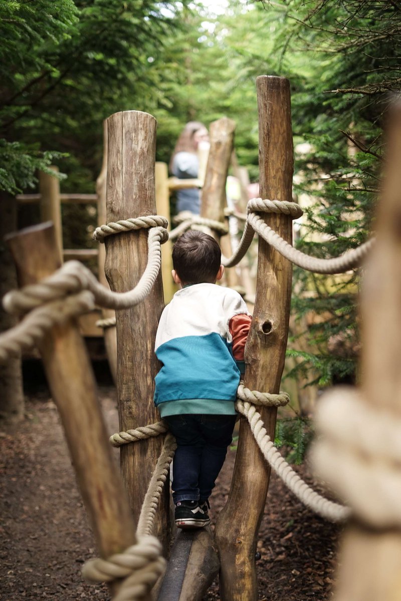 Raby Castle, Park and Gardens tweet media