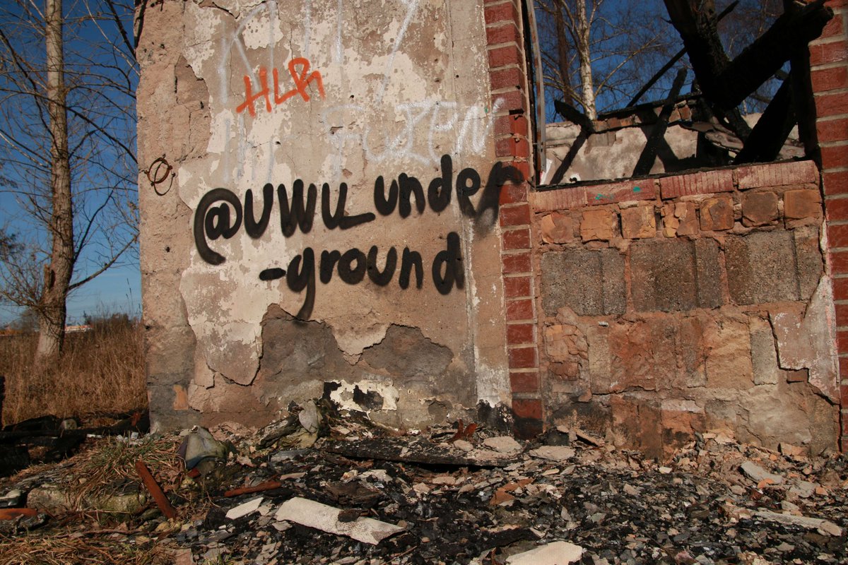 UwU Underground tweet media