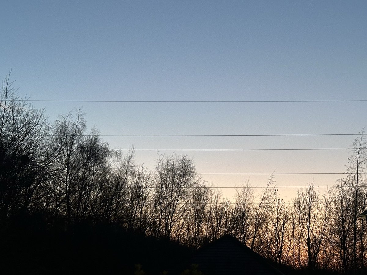 Munch Pudding™️ 🐈‍⬛ ✌🏼 🇺🇦 🇵🇸 🇬🇱 🇪🇺 tweet media