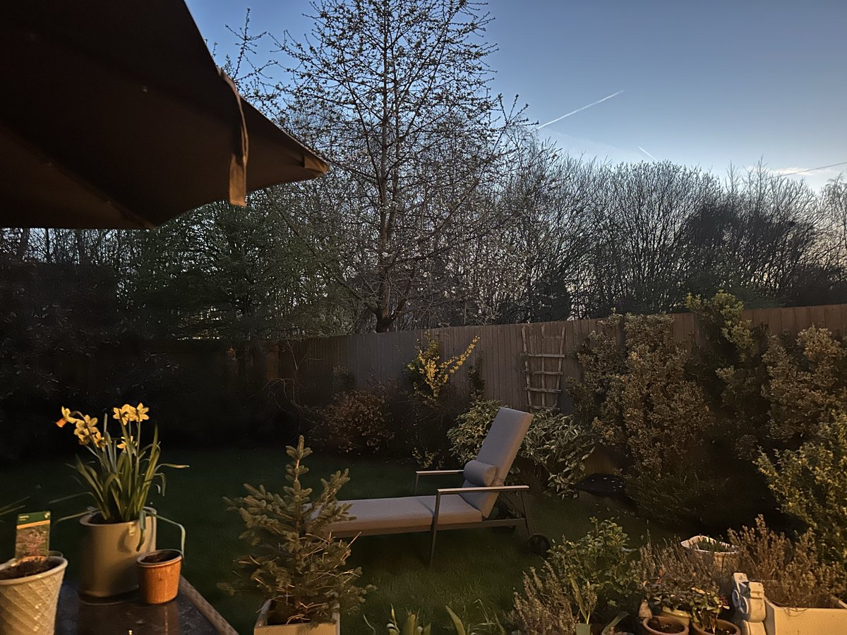 Munch Pudding™️ 🐈‍⬛ ✌🏼 🇺🇦 🇵🇸 🇬🇱 🇪🇺 tweet media