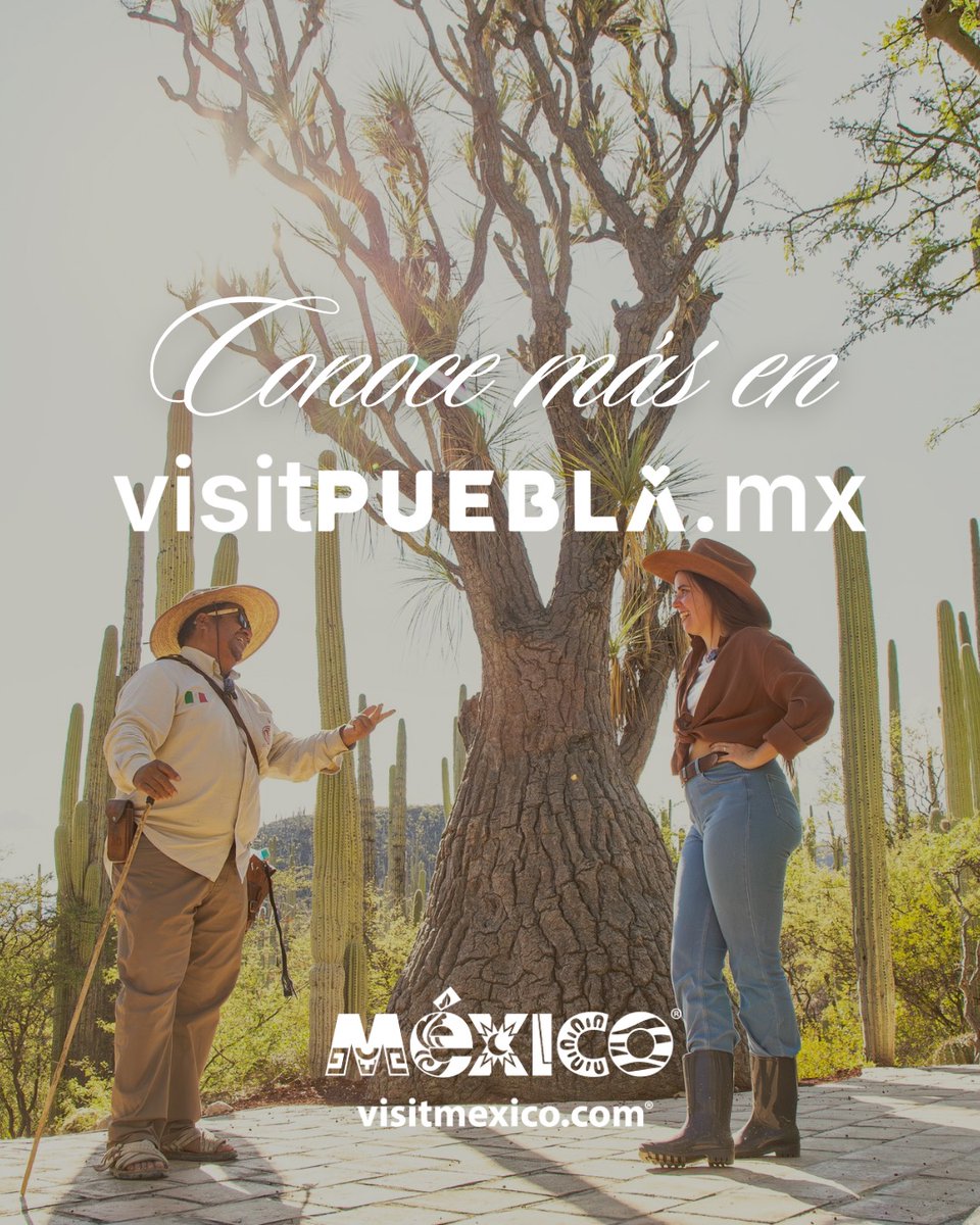Visit México tweet media