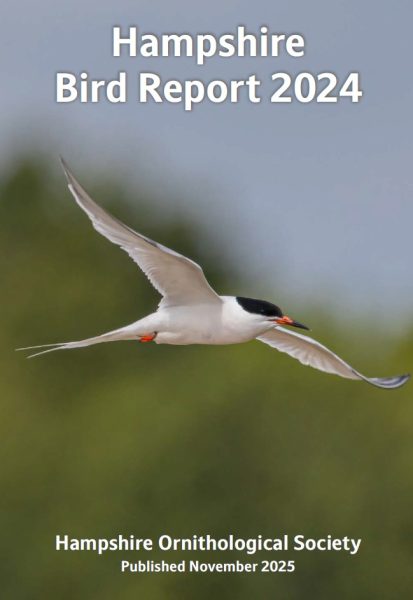 BirdGuides tweet media