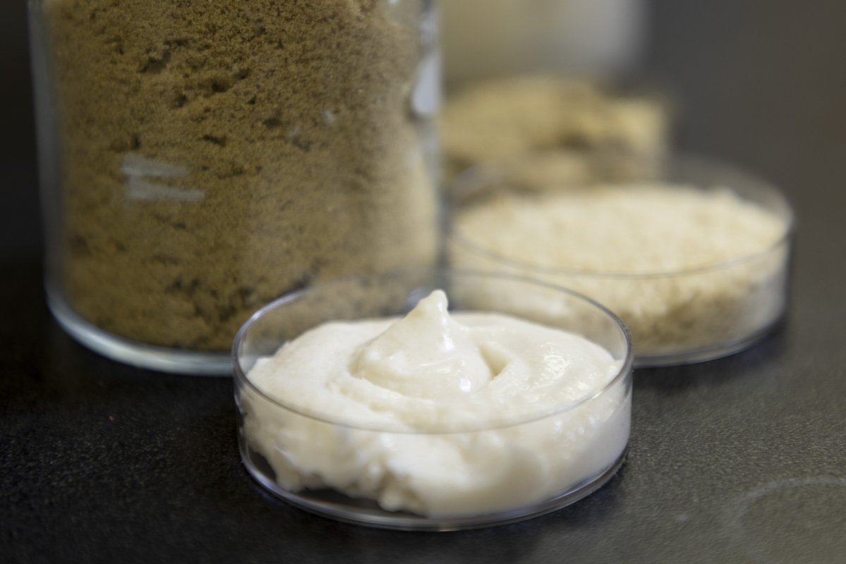 Arkansas Agricultural Experiment Station tweet media