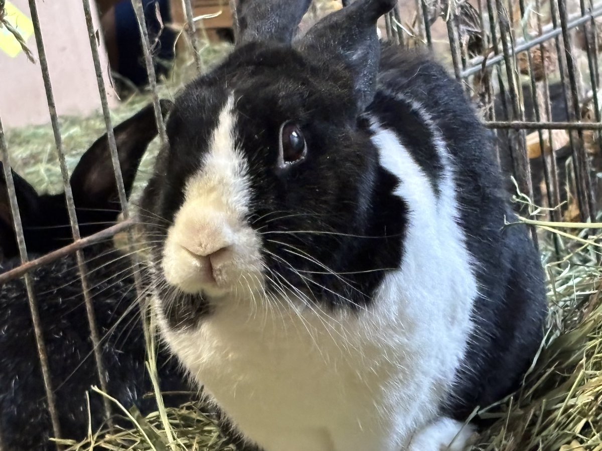 Wilson and friends tweet media