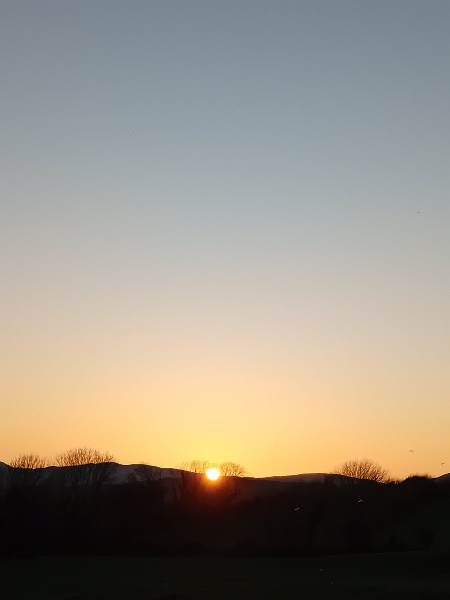 Anne Poole tweet media