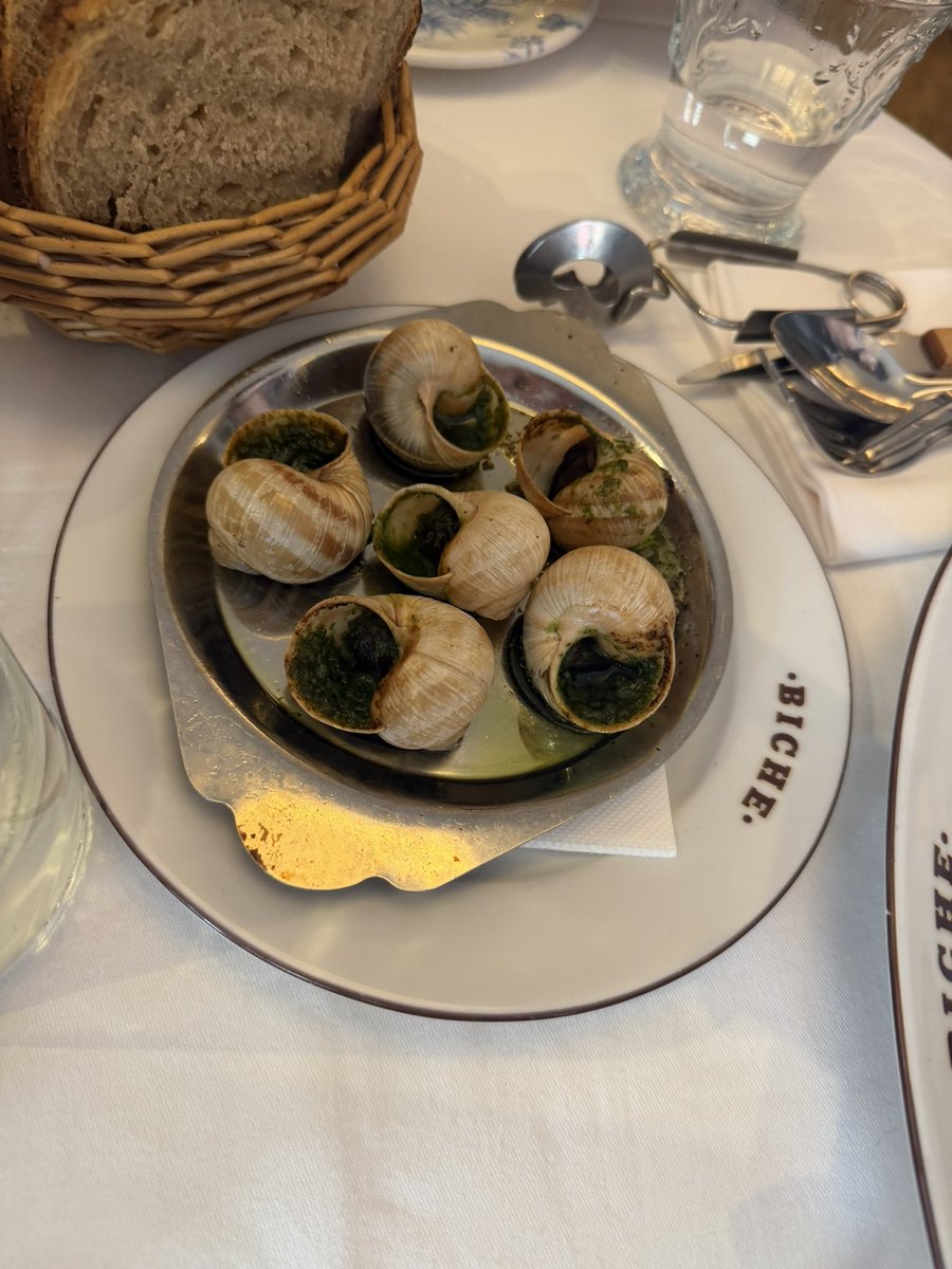 sheentrades tweet media