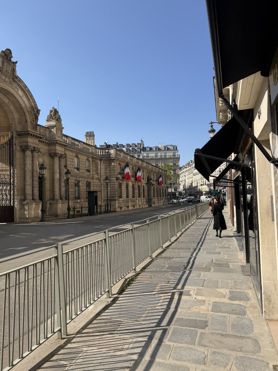 sheentrades tweet media