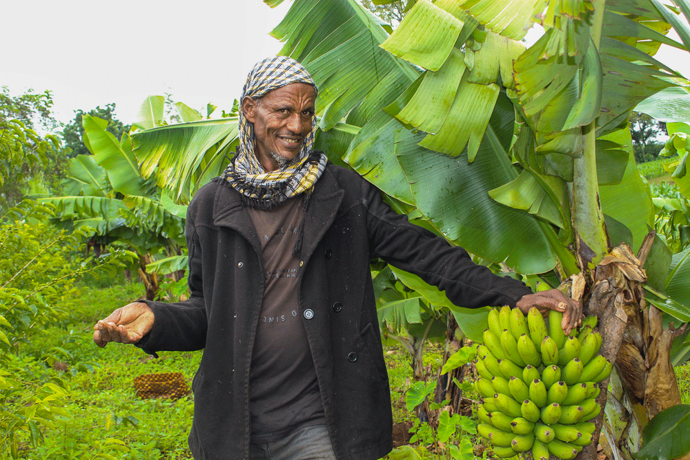 ECFF - Environment and Coffee Forest Forum tweet media
