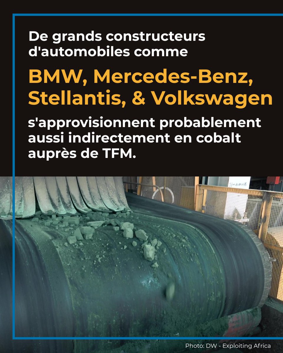 Environmental Investigation Agency U.S. tweet media