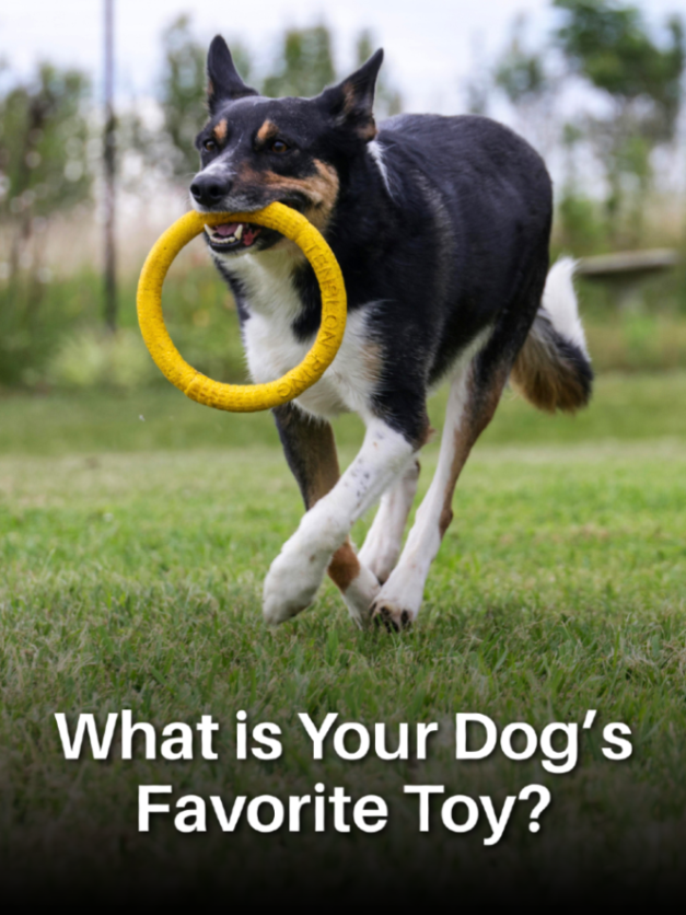 Susan Garrett tweet media