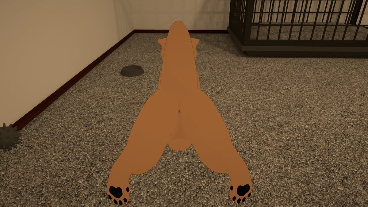 Russ the bear tweet media