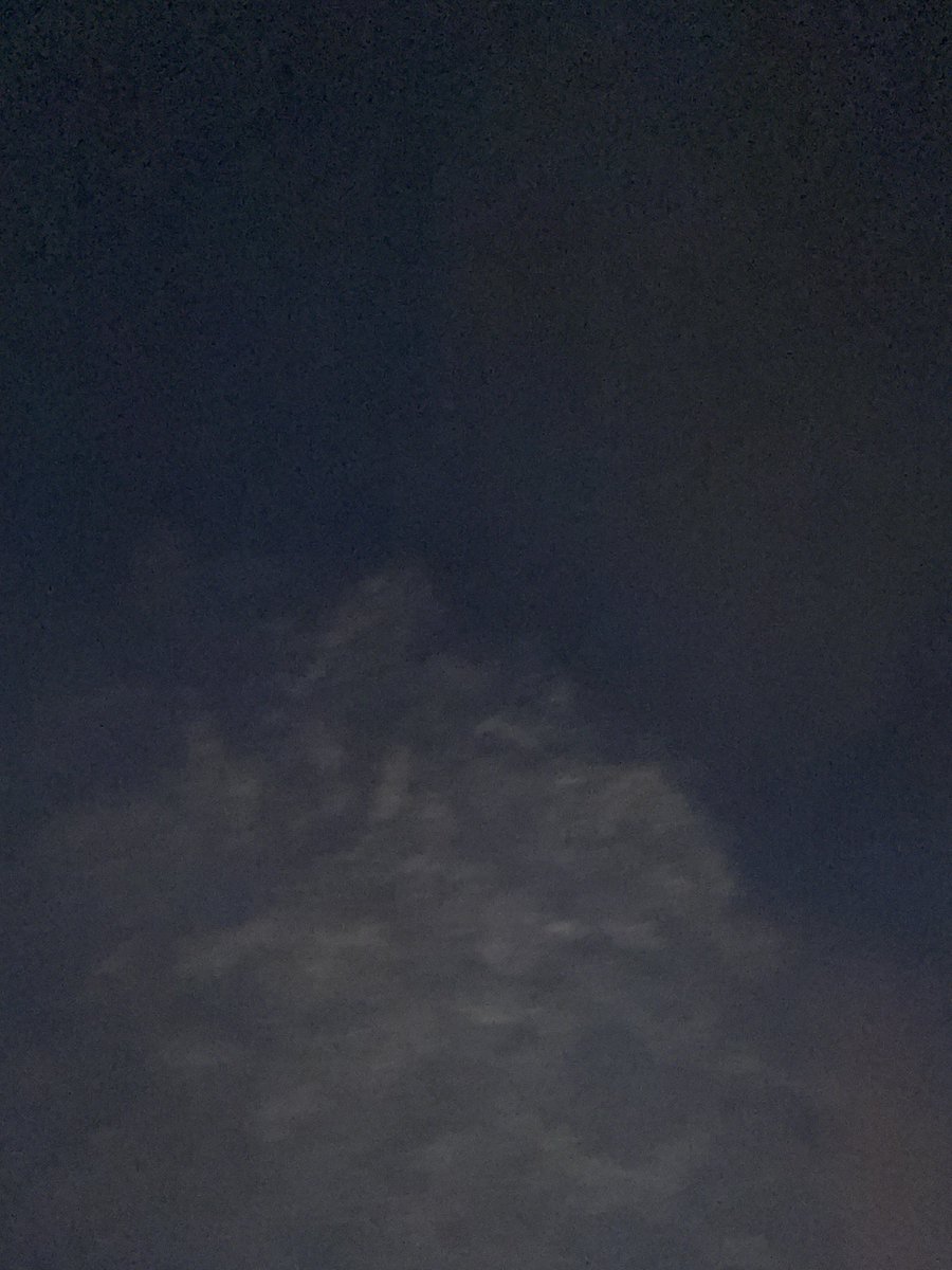 Nevada Alexander tweet media