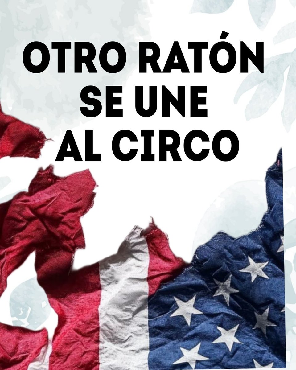 Tony Pérez Roble tweet media