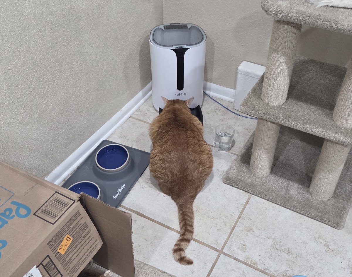 Scott Iceman Reck tweet media