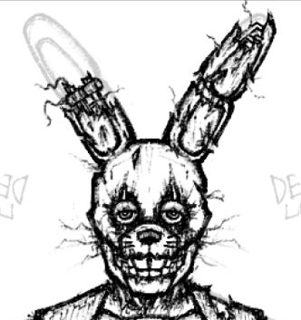 different tweet media