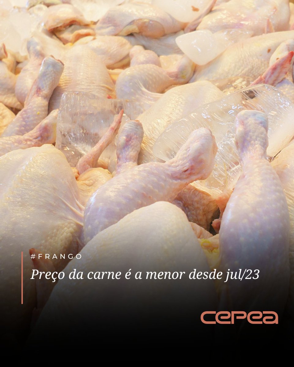 CepeaEsalq's tweet image. #FRANGO – Os preços da carne de frango seguem em queda nas praças acompanhadas pelo Cepea, pressionados pela fraca demanda doméstica e por especulações diante das incertezas geradas pelo conflito no Oriente Médio, importante destino das exportações brasileiras.

No atacado da