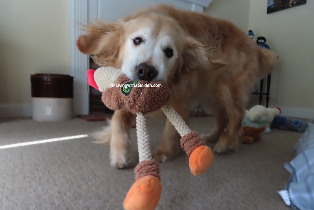 Chuck Billy & Asa tweet media