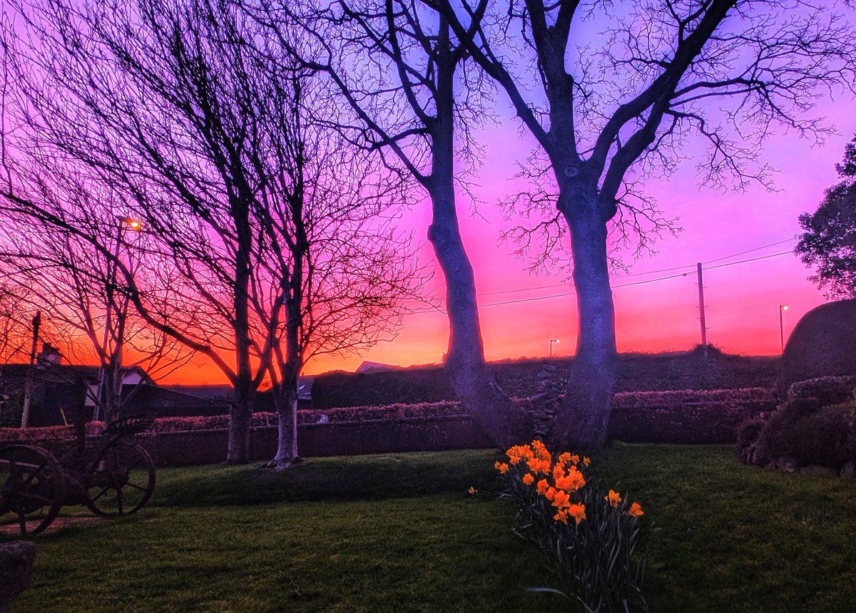 Anne Kelly ⛔NO DMs⛔ unless I know or follow you. tweet media