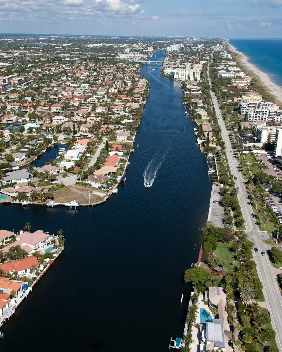 Bertha Delfi Green tweet media