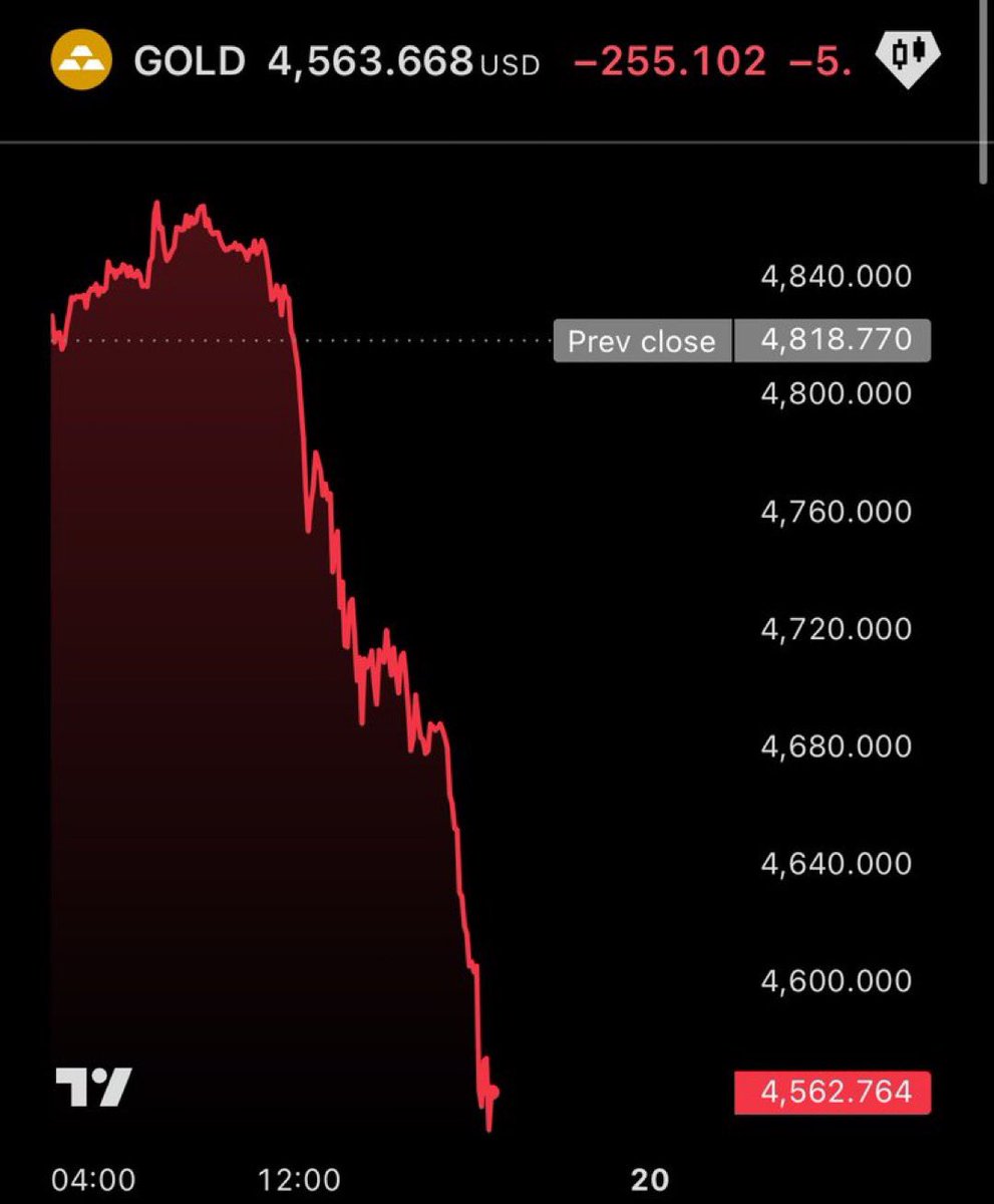 Hailey Welch tweet media