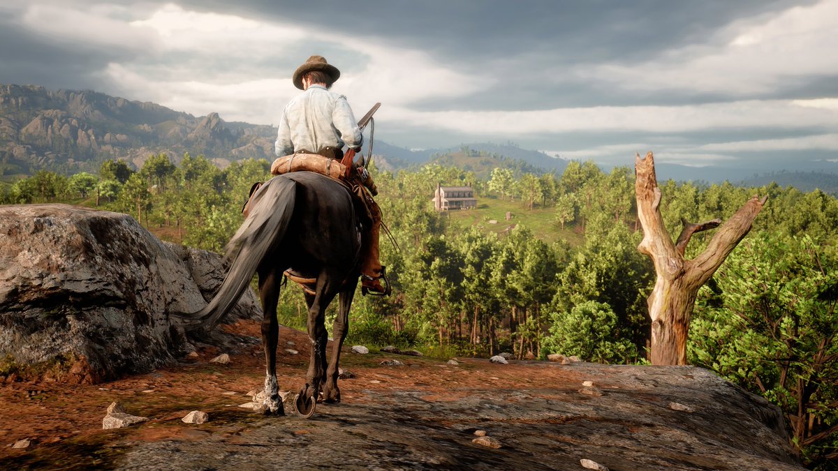 RedDeadOutlaw ( RED DEAD REDEMPTION ) tweet media